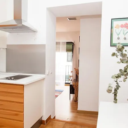 Apartment Gotoseville Sierpes Seville