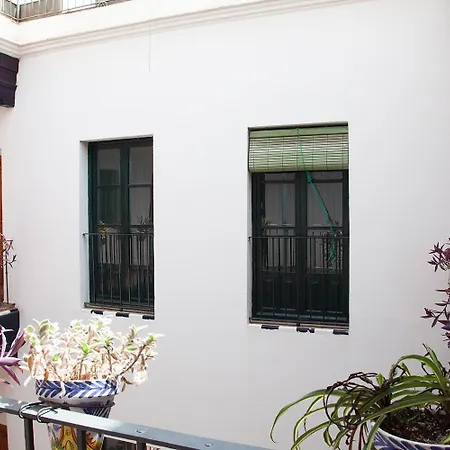 Apartament Gotoseville Sierpes *