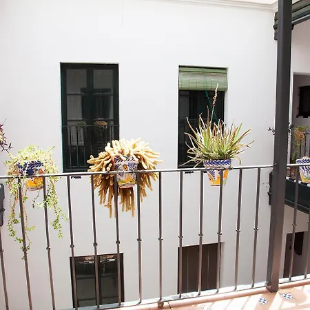 Gotoseville Sierpes Apartament *